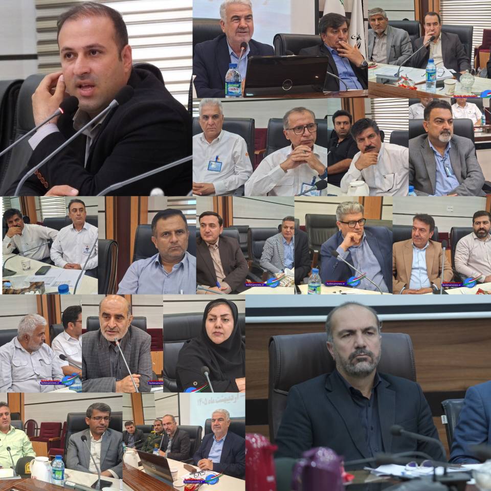 رئیس شبکه بهداشت و درمان گچساران درجلسه کمیسیون کارگری شورای تامین استان در گچساران:کمبود نیرو در بخش مشاغل کارگری و خدماتی بیمارستان‌هابایدبررسی شود/مرکز طب کار دولتی با هدف حمایت از جامعه کارگری در گچساران آماده ارائه خدمات گسترده است